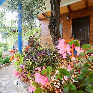 Holiwood , Himarë Albanien